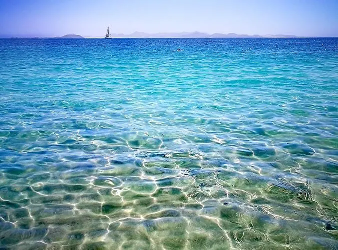 El Galeon 아파트 플라야블랑카